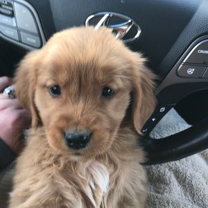 Meet your Posher, Tonya